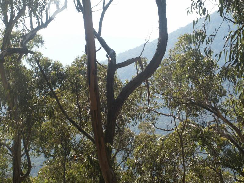 VENDOR SAYS SELL!! Picture 1