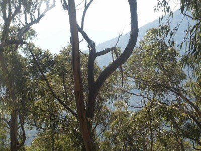 VENDOR SAYS SELL!! Picture