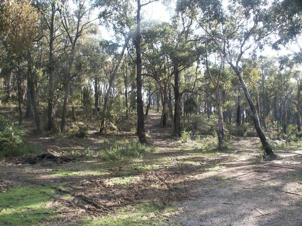 VACANT LAND - APPROX 4.6 ACRES Picture 1