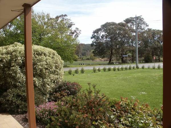 NEAT AS A PIN Picture