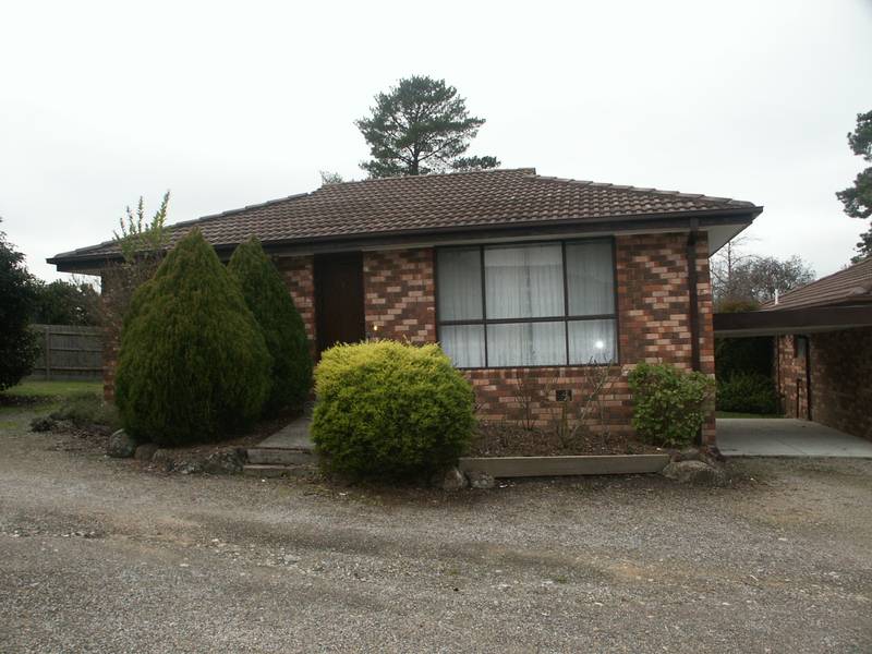 Close to everything Picture 2