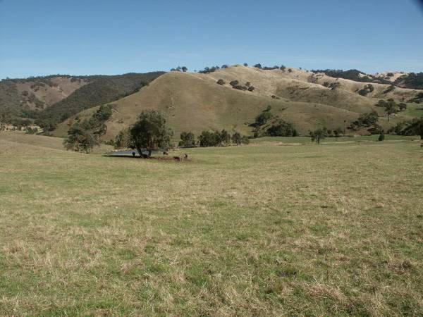 SOME OF THE DISTRICTS FINEST Picture 1