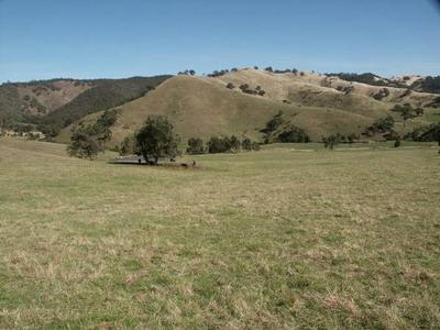 SOME OF THE DISTRICTS FINEST Picture