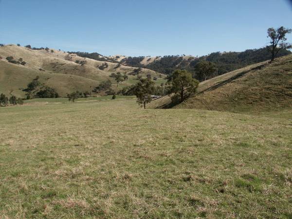 SOME OF THE DISTRICTS FINEST Picture 2