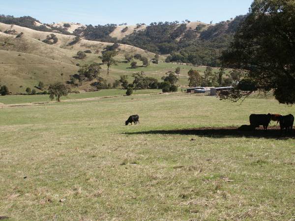 SOME OF THE DISTRICTS FINEST Picture 3