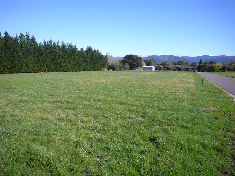 When Quality Counts Picture 1