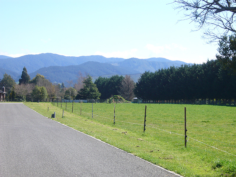 When Quality Counts Picture 3