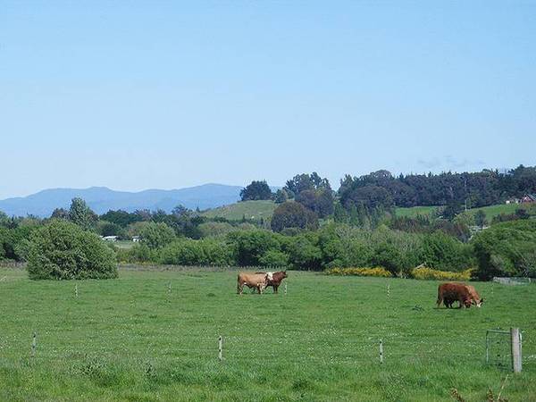 16 acres - down by the Riverside Picture 1