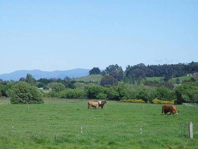 16 acres - down by the Riverside Picture