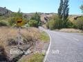 Native Bush - Grazing - A
Peaceful
Sanctuary - Picture