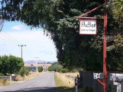 Fluffies Cattery is rural bliss - handy to town Picture