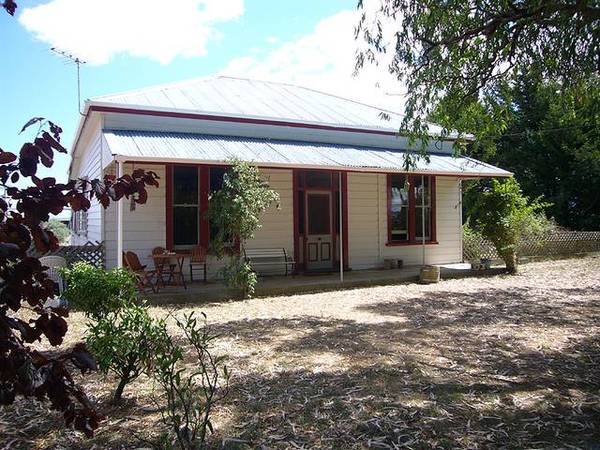 Fluffies Cattery is rural bliss - handy to town Picture 2
