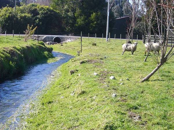 Half
Acre
Haven - Excellent
Weekender Picture 3