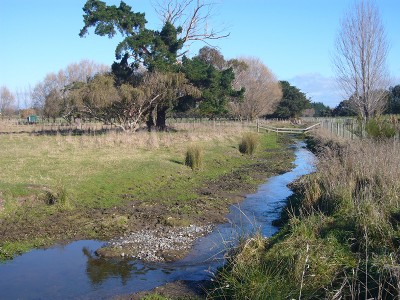 Lifestyle with acres of opportunity Picture Lifestyle with acres of opportunity Picture