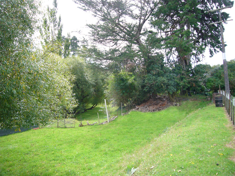 Affordable Rural Wairarapa Get-a-way Picture 3