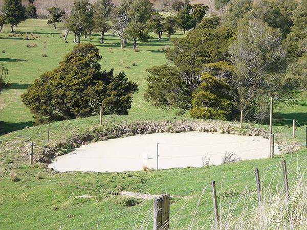 NATIVE BUSH - GRAZING - 19 ACRES - HANDY MARTINBOROUGH Picture 3