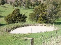 NATIVE BUSH - GRAZING - 19 ACRES - HANDY MARTINBOROUGH Picture NATIVE BUSH - GRAZING - 19 ACRES - HANDY MARTINBOROUGH Picture