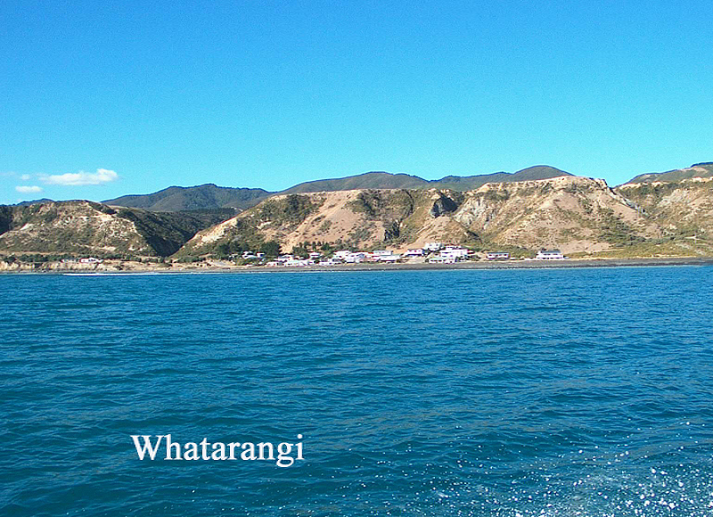 WONDERFUL
WHATARANGI
A
FISHERMAN'S
DELIGHT Picture 2