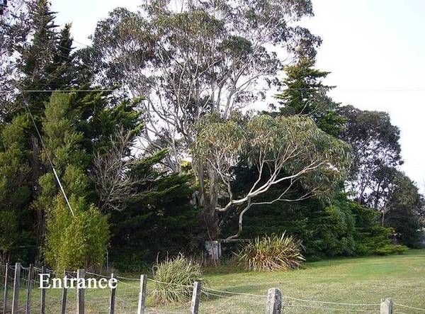 Wow Look what we've found Picture 1