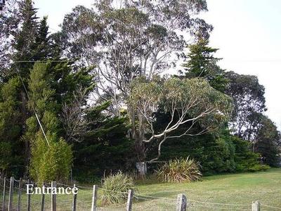 Wow Look what we've found Picture Wow Look what we've found Picture