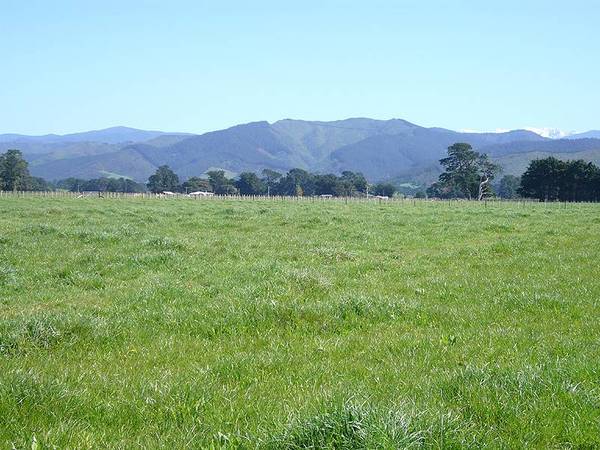 Just -Listed Picture 2