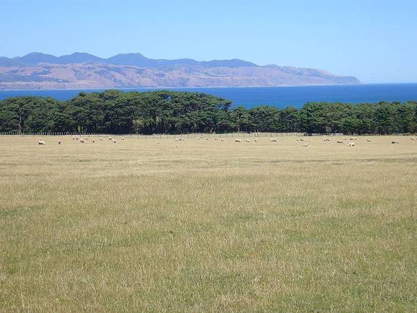 Wharekauhau - reward yourself - you deserve it Picture 2