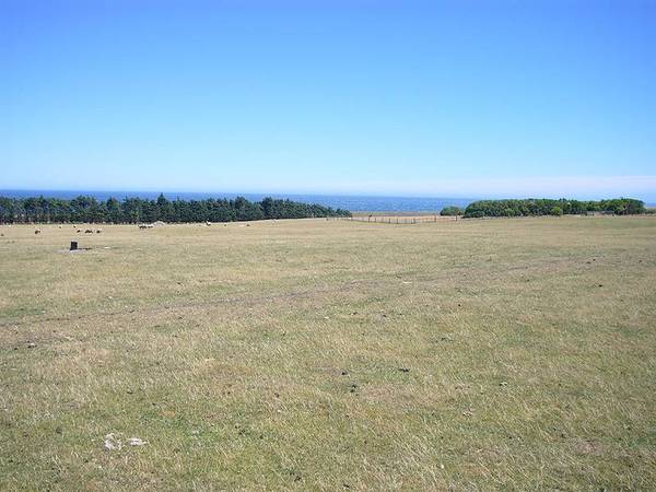 Wharekauhau - reward yourself - you deserve it Picture 3