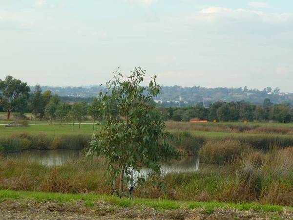 MAGNIFICENT LIFESTYLE CHOICE Picture 2