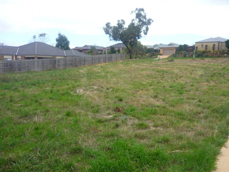 BEACONSFIELD (BOWMANS TRACK) Picture 2