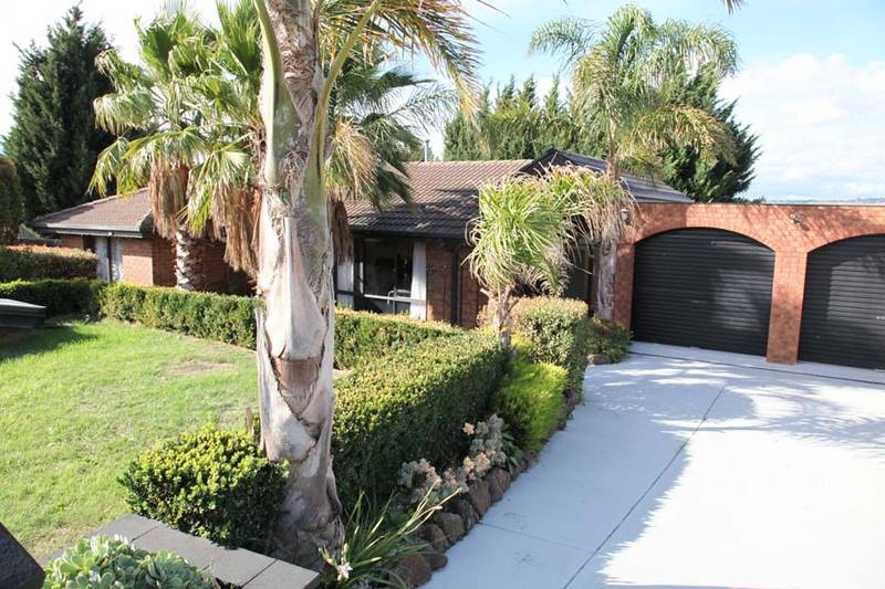 SOMETHING SPECIAL Picture 1