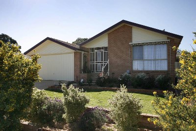 YOU WONT BUY BETTER Picture YOU WONT BUY BETTER Picture