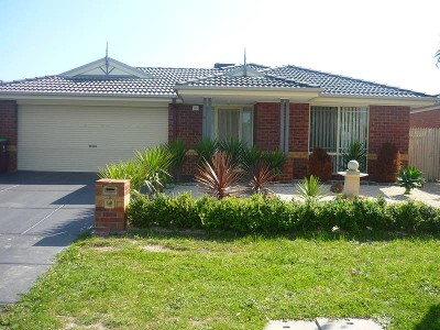 STARTING OUT OR SLOWING DOWN Picture