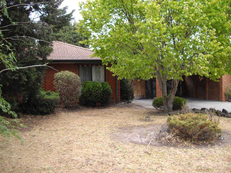 TOP OF THE COURT Picture 1