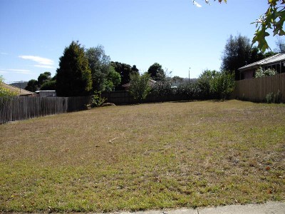 Best Block in Town Picture Best Block in Town Picture