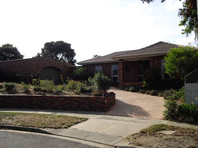 Buy this and the kids will love you! Picture