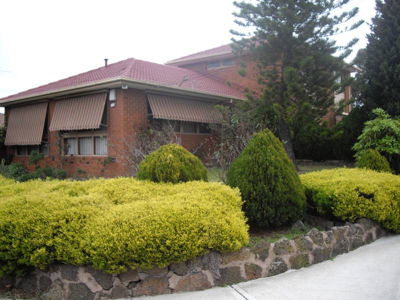 BRADY BUNCH SPECIAL Picture 3