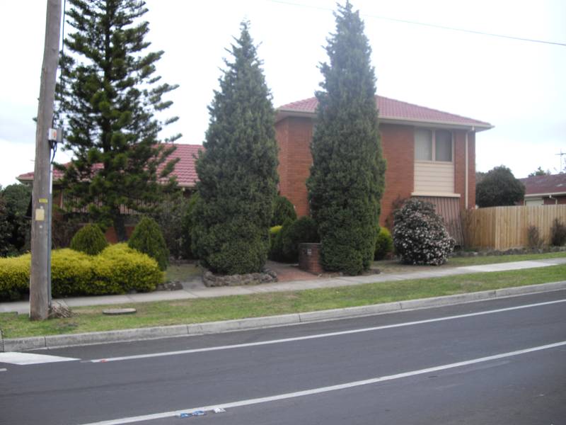 BRADY BUNCH SPECIAL Picture 2