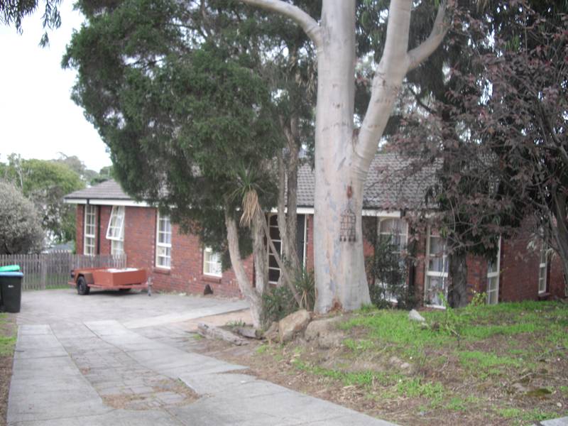 Perfect Starter or the ideal Investment Picture 1