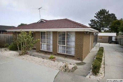 Size in disguise - Inspect to be surprise! Picture Size in disguise - Inspect to be surprise! Picture