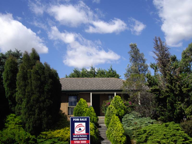 Mountain views Picture 1