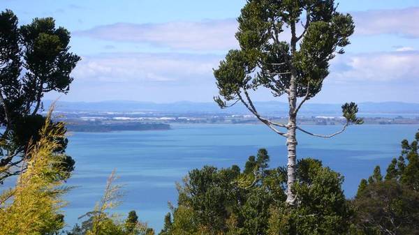 'Rangiwai Lodge' Sublime South Pacific Picture 2