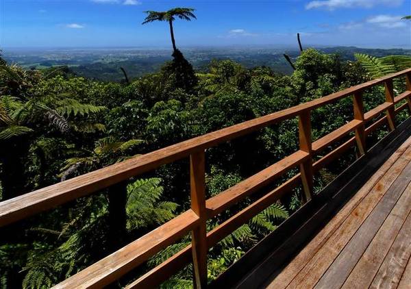 Penthouse in the Sky Picture 2