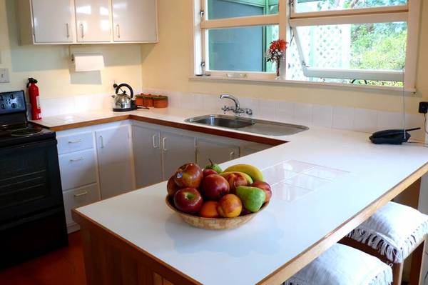 Enchanting Discovery Picture 2