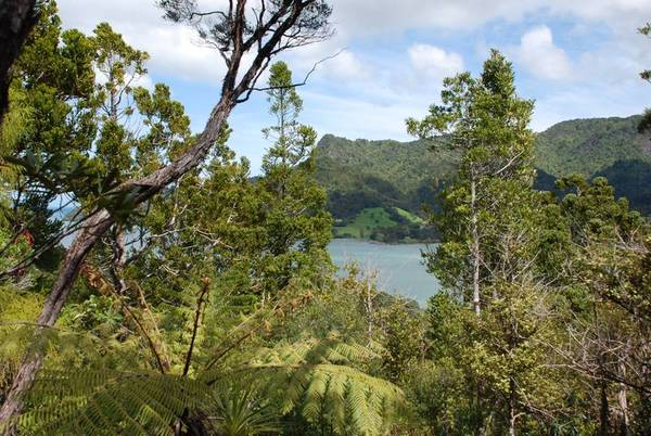 Sun, Sea, Scenery Picture 2