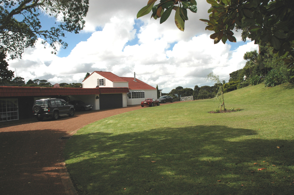 ROMANTIC EUROPEAN KIWI BLEND Picture 3