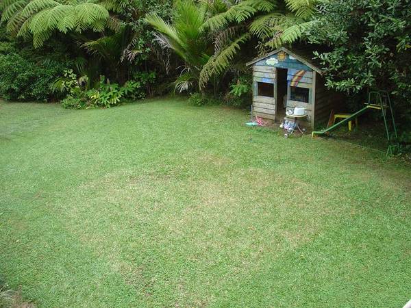 FAMILY FRIENDLY WITH FLAT LAWN Picture 3