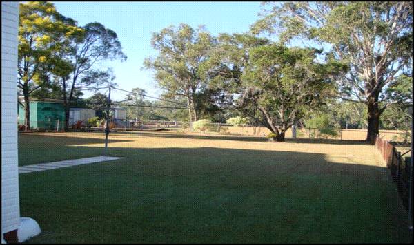 Watch the Kids Walk to School - I'm Not Joking! Picture 2