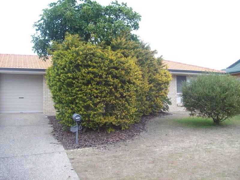 Great investment - Flinders View Picture 2