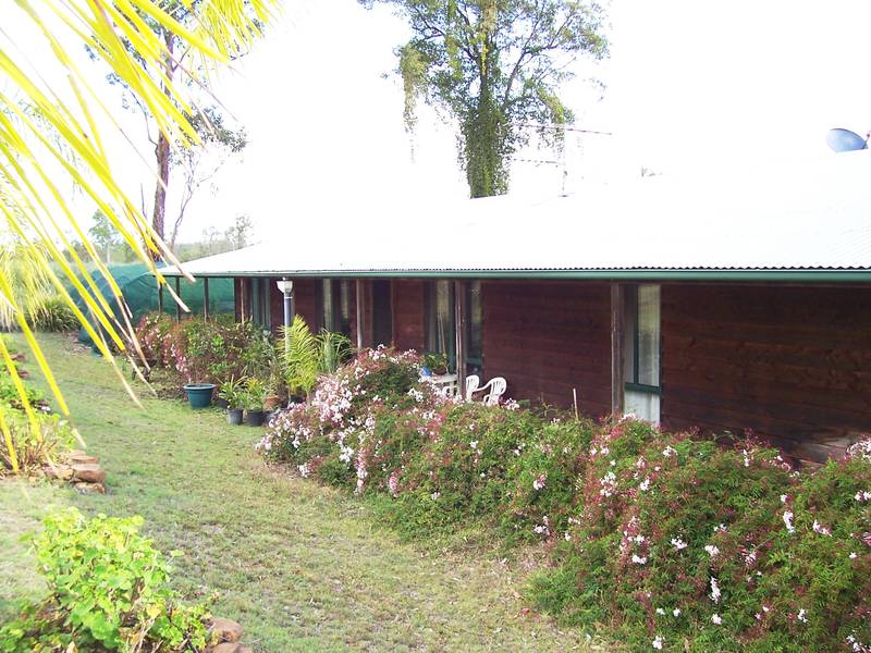 INCOME POTENTIAL - 3000 OLIVE TREES - ESK Picture 2