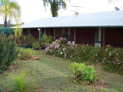 INCOME POTENTIAL - 3000 OLIVE TREES - ESK Picture